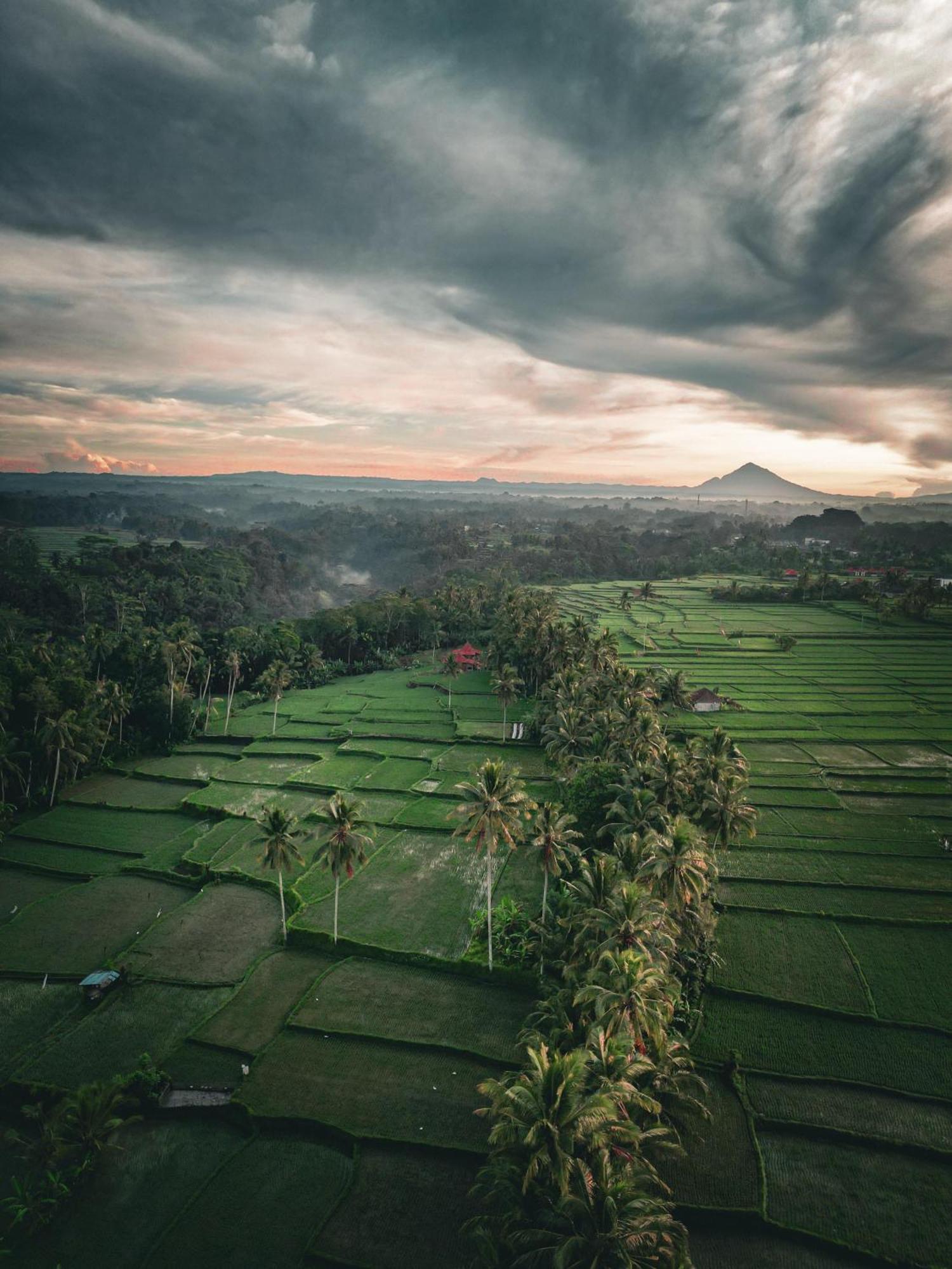 Ayu Duwur Beji Hotel Ubud Buitenkant foto