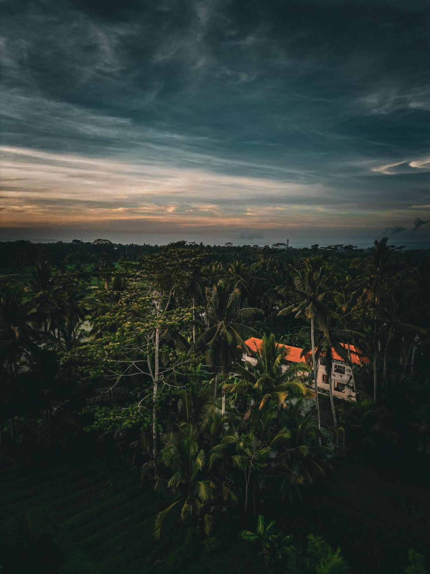 Ayu Duwur Beji Hotel Ubud Buitenkant foto